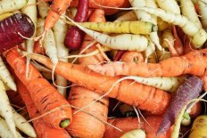 Back to the Roots - Themenwoche in St. Paul